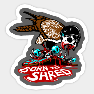 Born to Shred Sticker